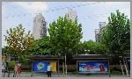 普陀區真北路2150號,上海西埃實業公司長壽純水廠的地址 上海地圖